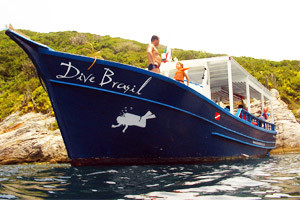 barco-divebrasil
