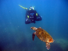 ponto-de-mergulho-arraial-do-cabo